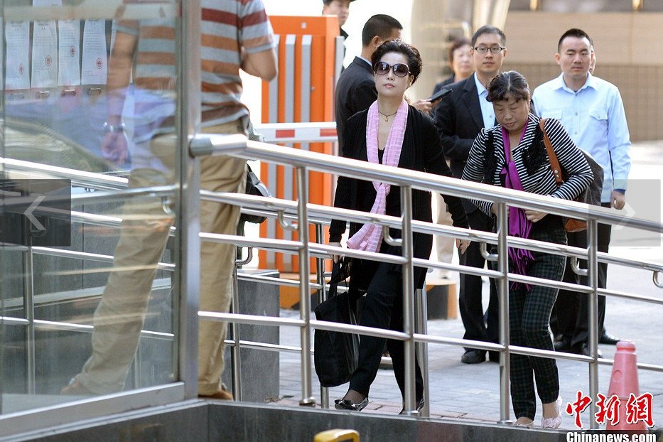 夢鴿現(xiàn)身海淀法院。中新網(wǎng)記者 金碩 攝