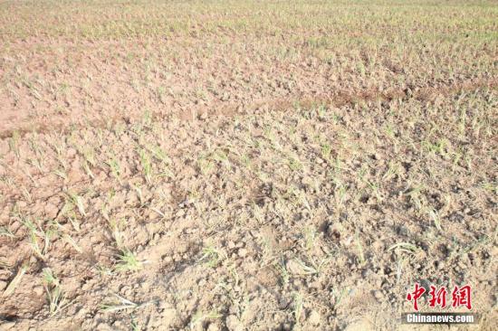 2014年7月31日早晨，浙江紹興市區(qū)蔬菜批發(fā)市場旁邊的土地已經(jīng)發(fā)生開裂。