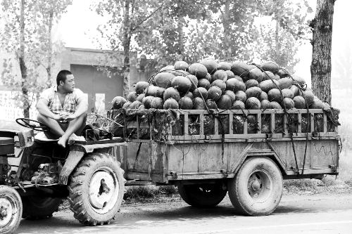　看著滿滿一車瓜，一瓜農(nóng)愁眉不展。