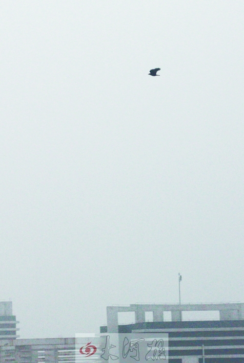 全省35個(gè)縣市發(fā)布惡劣天氣預(yù)警信號(hào)，其中15個(gè)發(fā)布大霧紅色預(yù)警