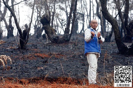 山林被燒得滿目瘡痍。