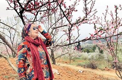 公式“時尚奶奶”的賞花照，收獲了好多人的點贊。 受訪者供圖