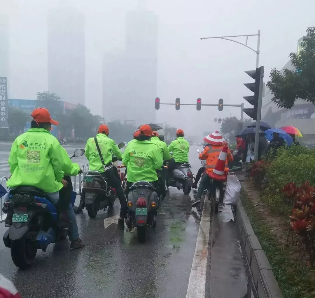 出門打驢？ 南寧“滴滴打驢”被緊急叫停