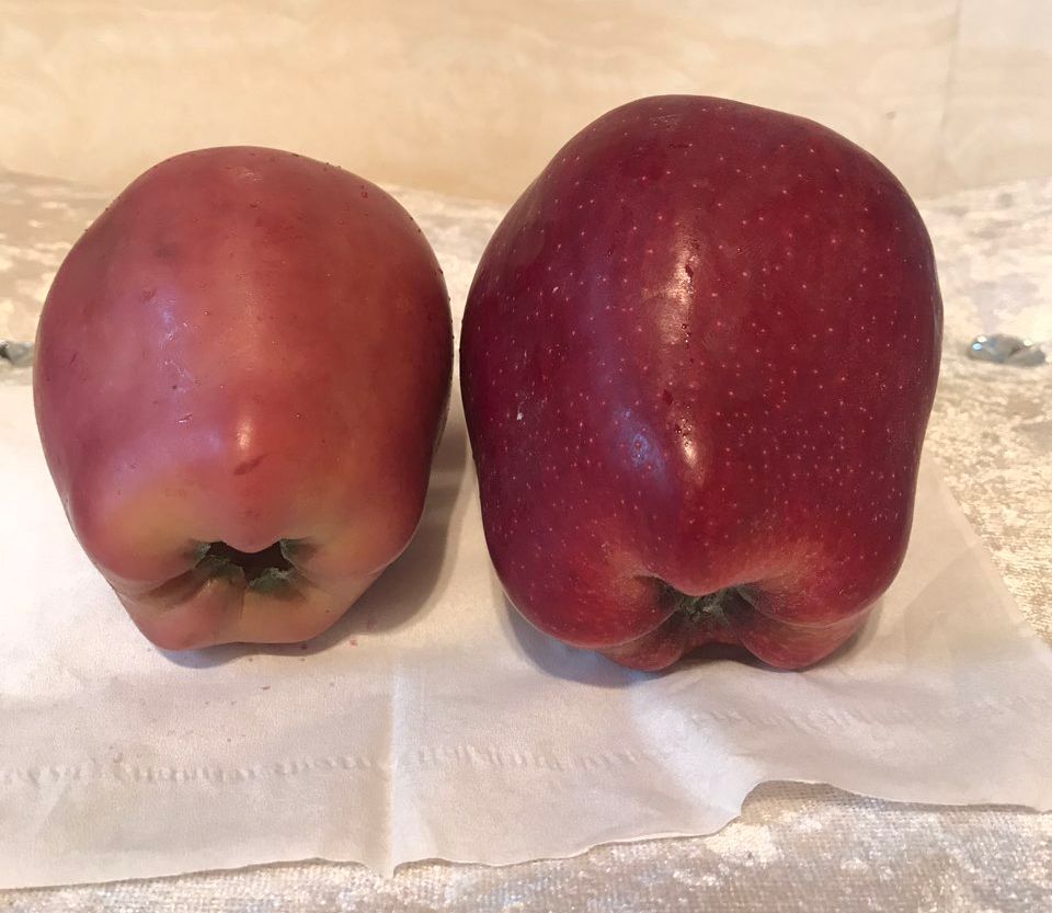 嚇懵！女子用熱水泡蘋果結(jié)果冒出血珠 咋回事？