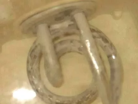 太惡心！女游客竟用酒店燒水壺煮自己的臟內(nèi)褲