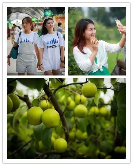 美女與香梨，你更愛哪一個(gè)？！