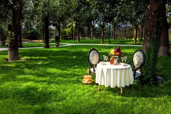 秋陽鴻園，芳草青青