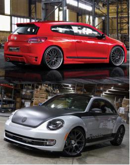 尚酷、甲殼蟲(chóng)