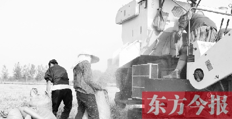 李正厚的妻子鮑本華（右）和一位村民拎著麻袋來到收割機前，接住傾倒出來的麥粒