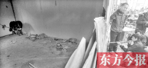 12月4日，鄭州市未來路與隴海路交叉口西側(cè)，執(zhí)法人員用吹管麻醉針對(duì)付一只藏獒