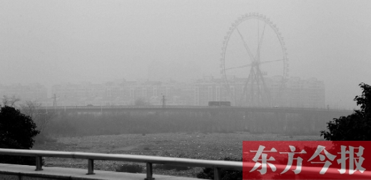 我看！我再看！我都看不見世紀歡樂園的巨大摩天輪了，送孩子上學的路，真快看不清了