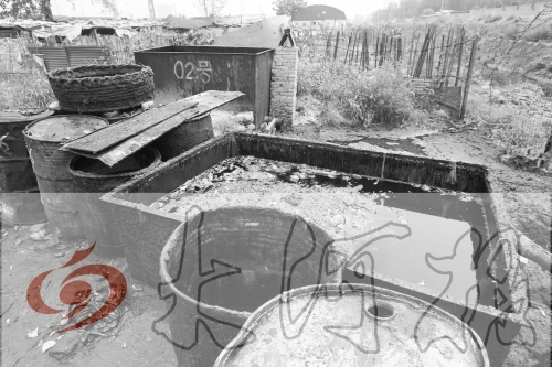 　　骯臟、令人作嘔的油桶凌亂地擺放在院子里，為了避免視覺刺激，我們把它做成了黑白圖片。