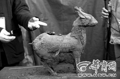 一件似羊似鹿的犧尊華麗亮相，可愛的造型“萌翻”現(xiàn)場。