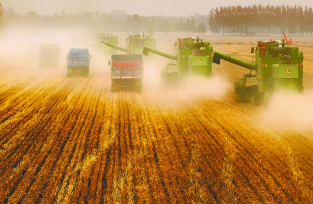 田里，一臺(tái)臺(tái)收割機(jī)唱著豐收歌。