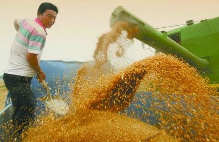 心情喜悅麥龍舞。