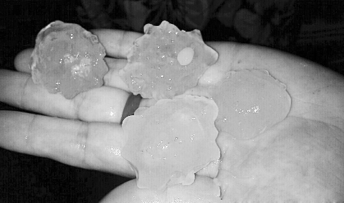 昨天凌晨，三門峽下起了冰雹，最大直徑近1厘米 微博截圖