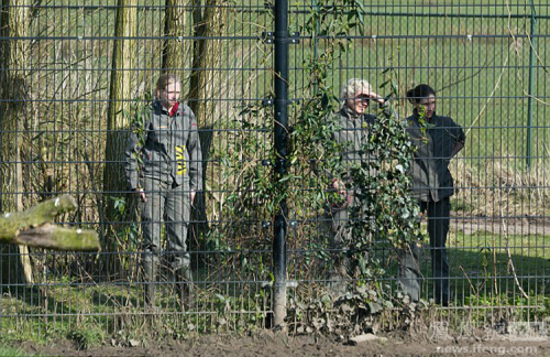 荷蘭動(dòng)物園一獅子頭被卡塑料桶 荷蘭動(dòng)物園一獅子頭被卡塑料桶