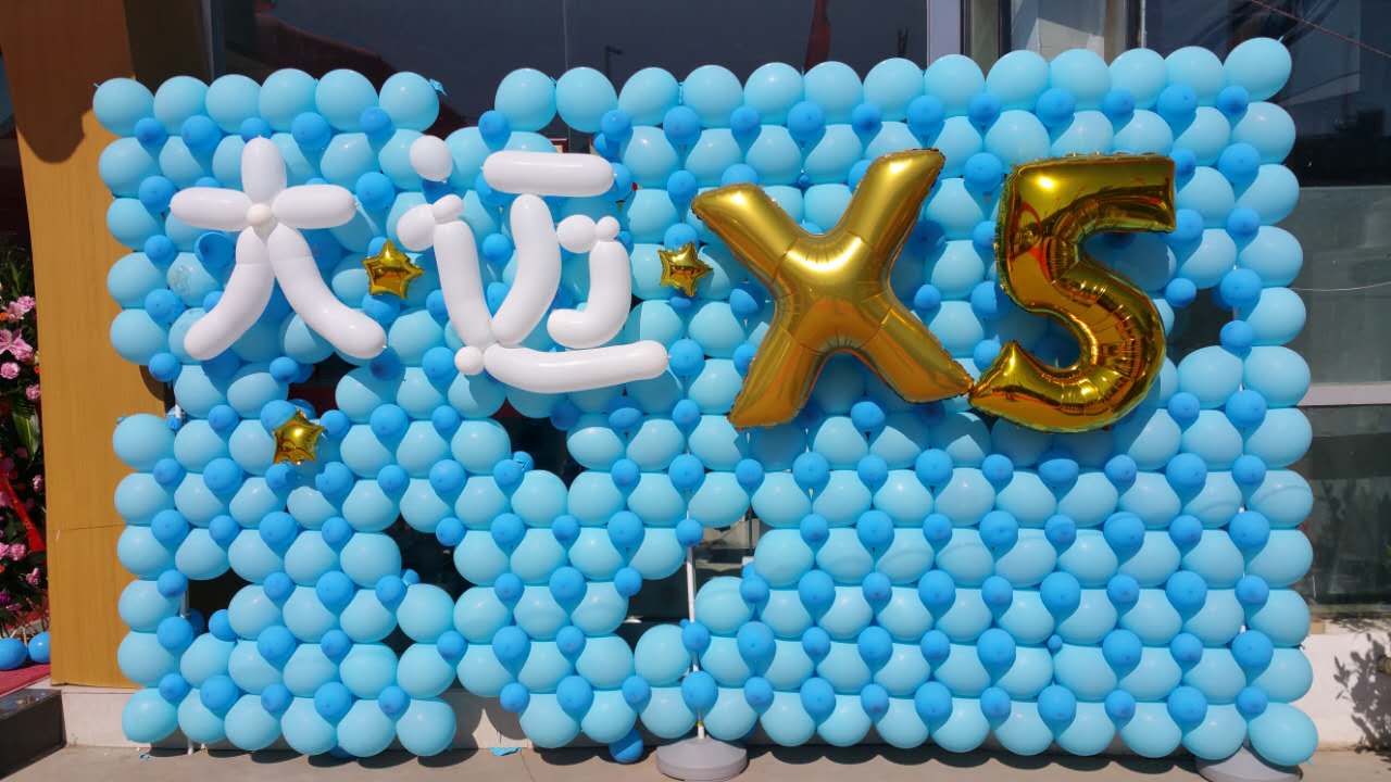 河南明志眾泰大邁X5上市發(fā)布會(huì)