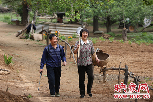 干活歸來 干活歸來