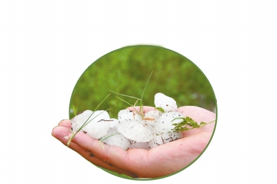 冰雹化了一些,還有這么大。