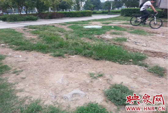 公園內(nèi)大片草坪遭到破壞。