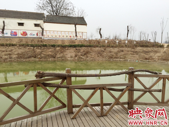 護(hù)欄損毀的地方，已經(jīng)被兩根樹干擋住。