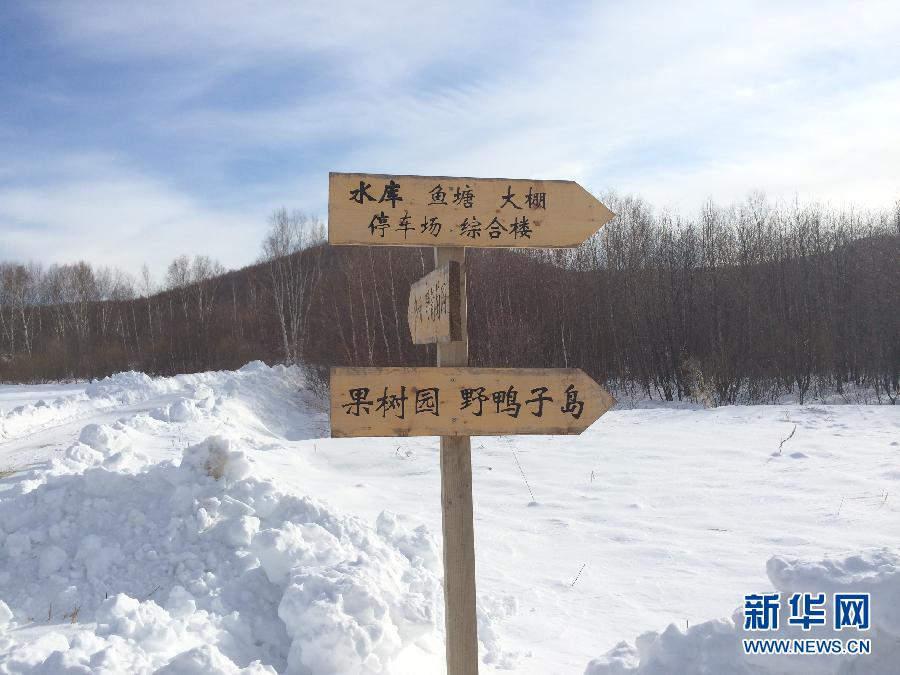 穗豐園里的標識牌（2013年12月8日攝）。新華社記者王子辰攝