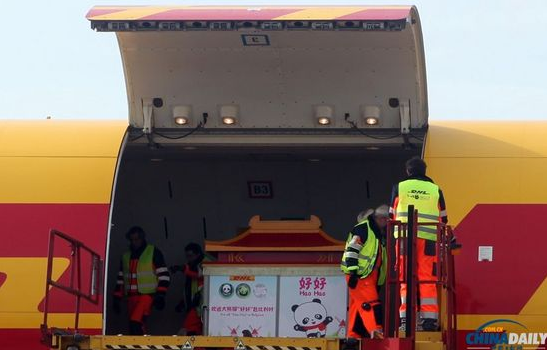 大熊貓“好好”抵達布魯薩爾國際機場。記者 付敬 攝
