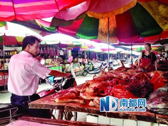  昨日，玉林垌口市場(chǎng)，一位市民在購買狗肉。