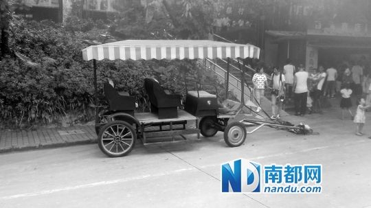 園方則稱解剖后發(fā)現(xiàn)馬死于心臟衰竭，“與累無關”。