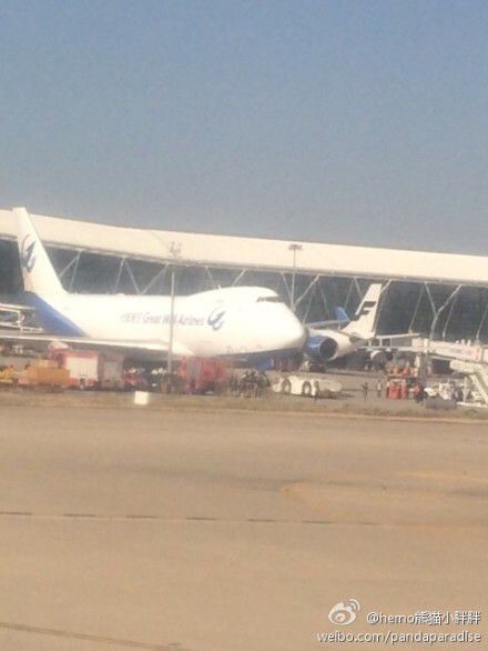 圖說：發(fā)生事故的飛機。圖片來源：新浪微博網(wǎng)友圖（請私信“新民晚報新民網(wǎng)”以奉稿酬）