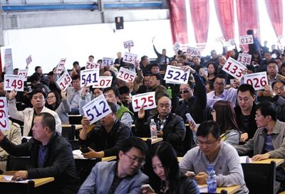 競拍者正在練習舉牌動作，以便拍賣時讓工作人員看清號牌。