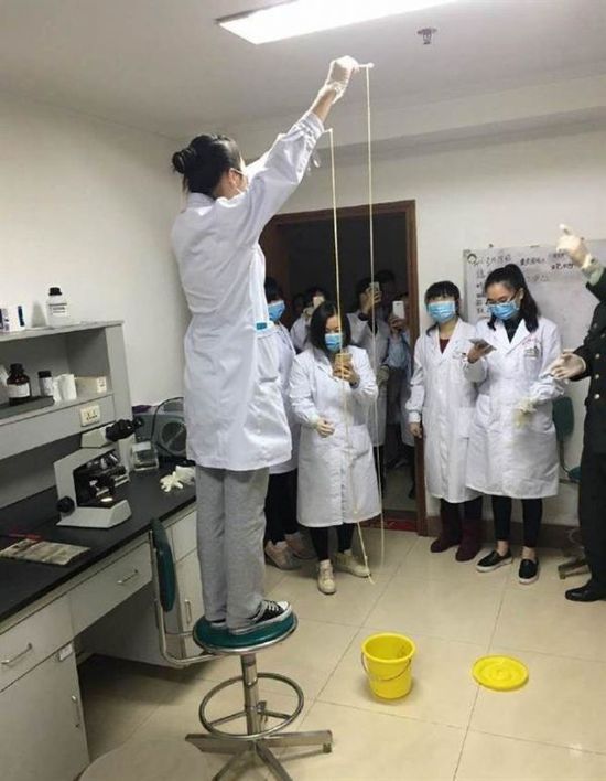 愛(ài)吃生肉惹的禍！男子體內(nèi)取出5米長(zhǎng)寄生蟲(chóng)(圖)