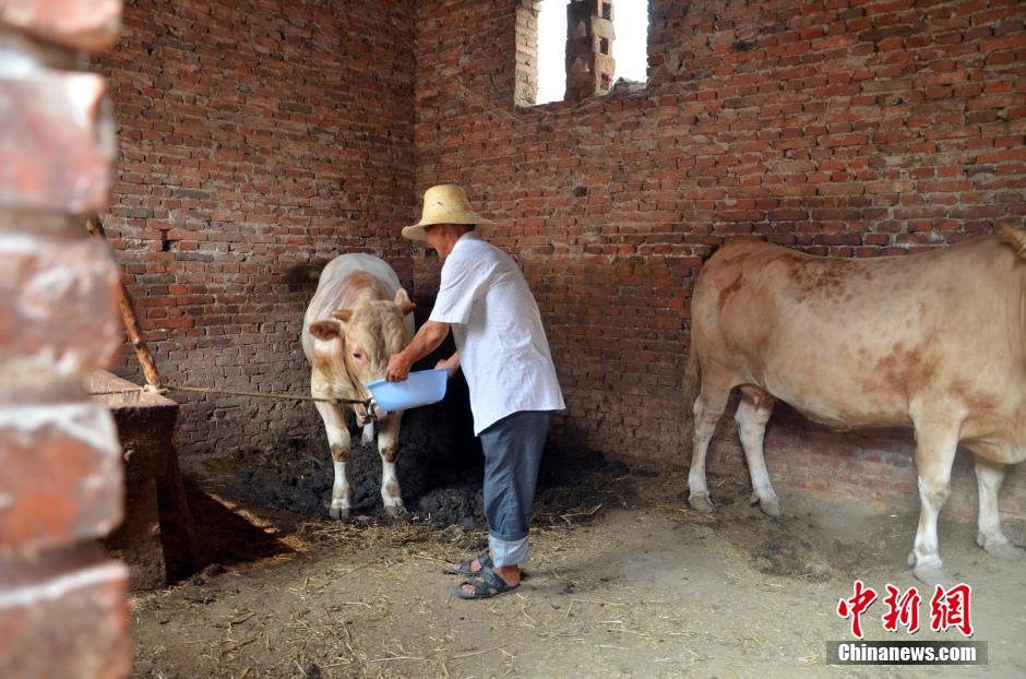 同時(shí)，地下水位的持續(xù)下降以及部分山泉水的干涸，已造成全縣2.85萬人和2000頭大牲畜出現(xiàn)飲水困難。