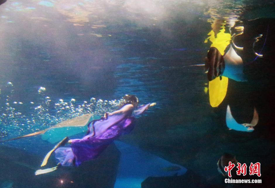 9月7日，在中秋節(jié)到來前一天，山東泉城海洋極地世界為游客帶來“嫦娥水中奔月”表演。