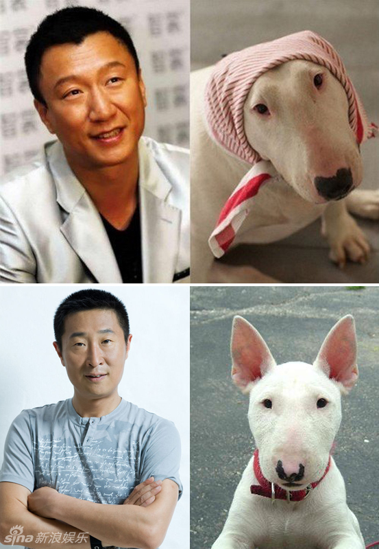 不小心就撞臉了！盤點動物界的明星相