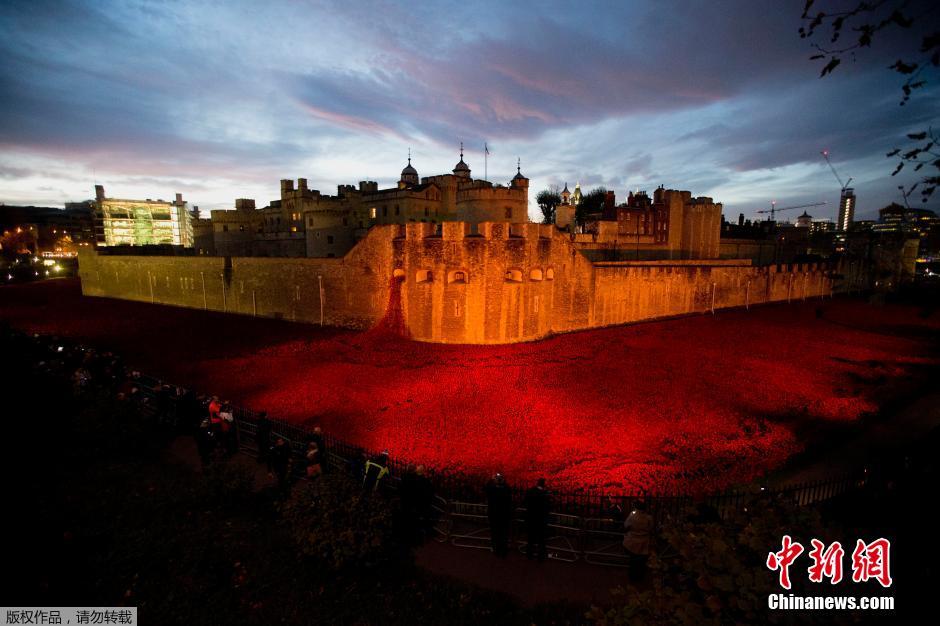 當地時間2014年11月10日，英國倫敦，倫敦塔周邊“種植”了888246朵陶瓷材質的罌粟花，以此紀