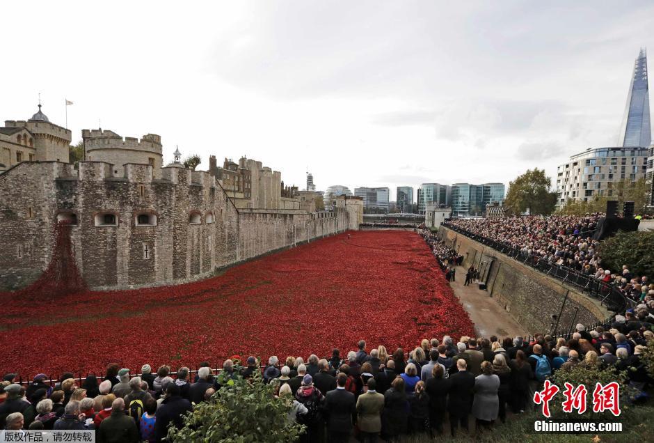 當地時間2014年11月10日，英國倫敦，倫敦塔周邊“種植”了888246朵陶瓷材質的罌粟花，以此紀
