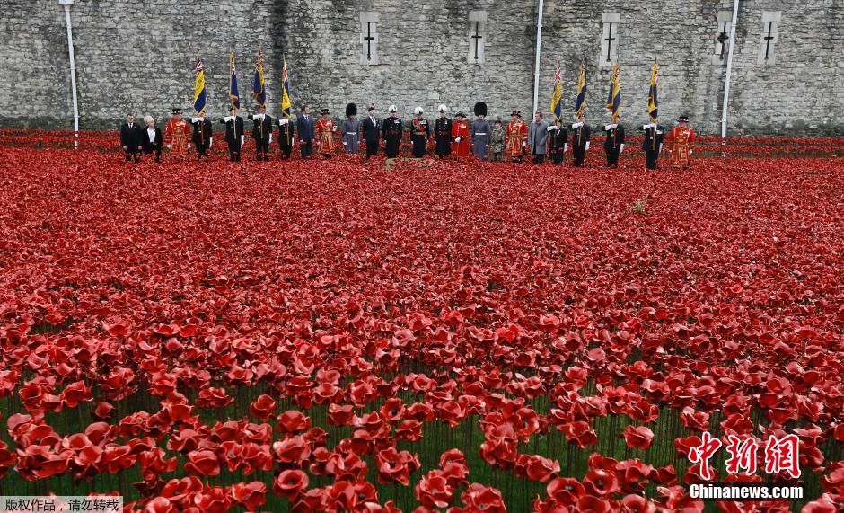 當地時間2014年11月10日，英國倫敦，倫敦塔周邊“種植”了888246朵陶瓷材質的罌粟花，以此紀