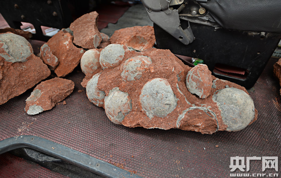 其中完整的19枚，都是直徑約13厘米的“大個子”。