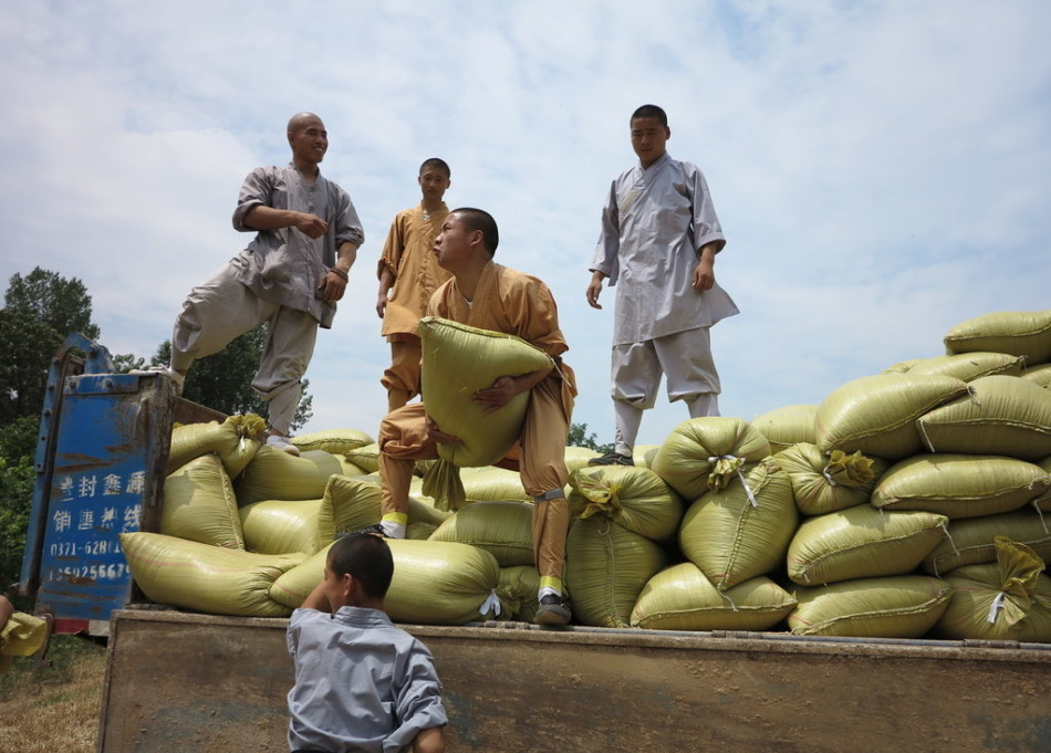武僧將打包后的糧食集中至運(yùn)輸車輛上。