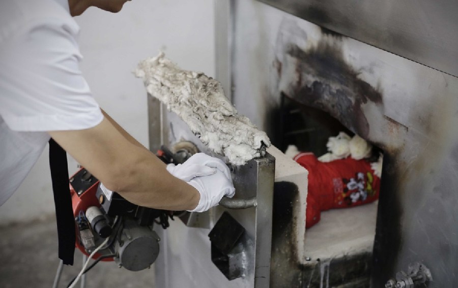 工作人員將狗狗推入火化爐。