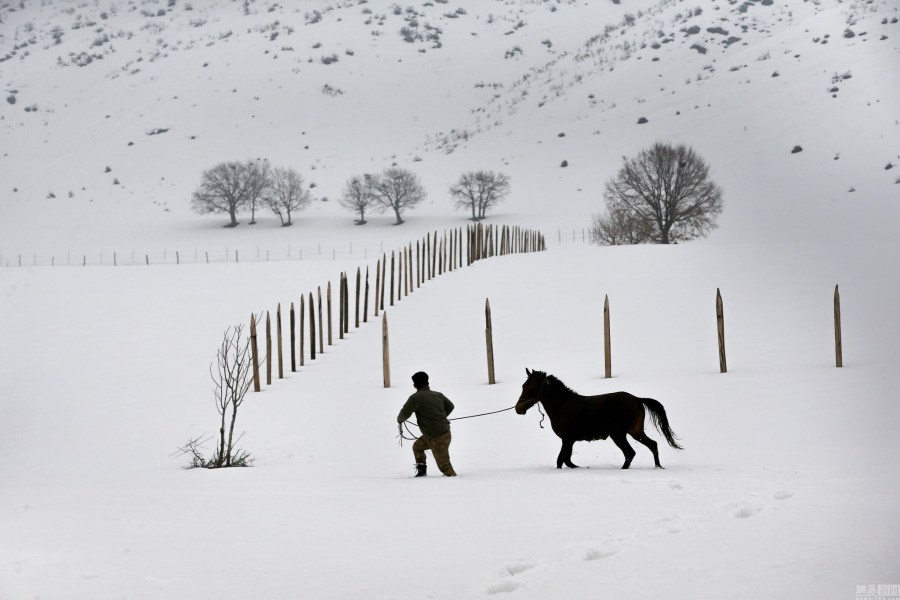 土耳其一溫泉受追捧 村民帶牛馬泡溫泉 土耳其一溫泉受追捧 村民帶牛馬泡溫泉