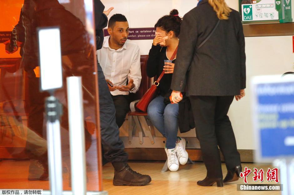 載66人埃航失聯(lián)客機墜毀 同線航班當(dāng)晚照常起飛