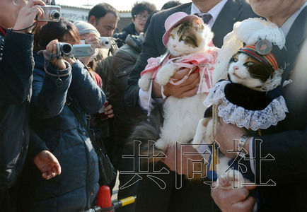 圖為粉絲們簇?fù)碇鞍⒂瘛闭鹃L(zhǎng)（右）。左側(cè)為其部下“二玉”。