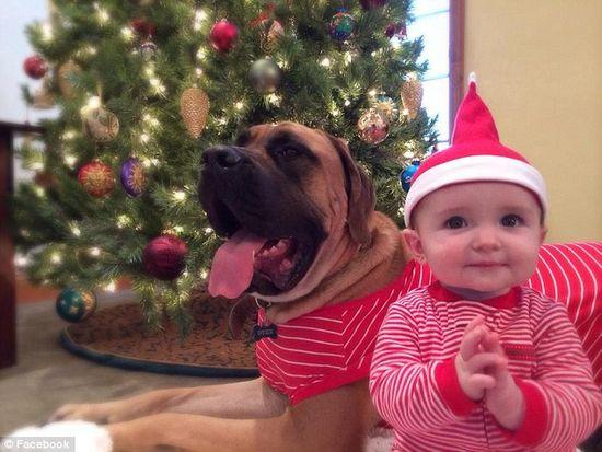 圖為美國(guó)2歲大的寵物犬與主人9個(gè)月大的女?huà)搿D片來(lái)源：臉譜網(wǎng)站（Facebook）。