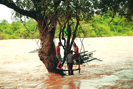 蓋屋、種菜，“從沒這樣快樂”