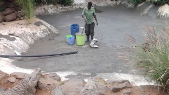 穆克的養(yǎng)殖場，鱷視眈眈下的工作人員。