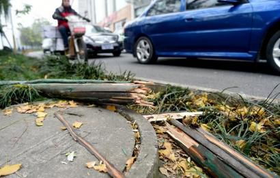 事發(fā)現(xiàn)場，嫌疑車輛撞壞的木樁。