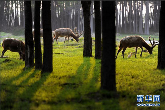 青奧會(huì)指定接待景區(qū) 五大特色景區(qū)開(kāi)啟青奧之旅 青奧會(huì)指定接待景區(qū) 五大特色景區(qū)開(kāi)啟青奧之旅